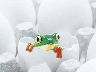 Pryč s vodním kamenem! Parní zvlhčovač Condair RS s ochranou proti vodnímu kameni