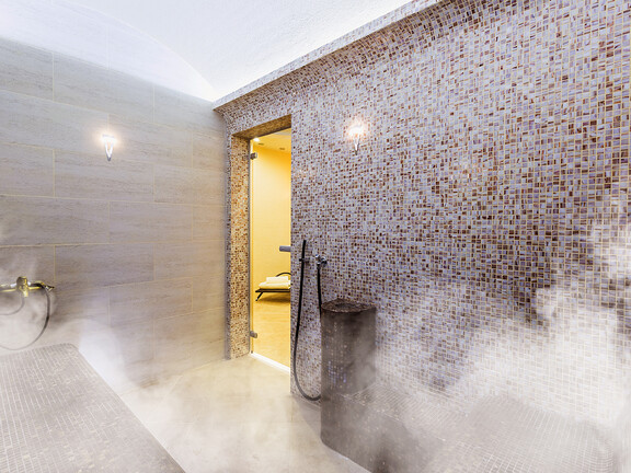 Steam bath steam generators steam bath steam generators